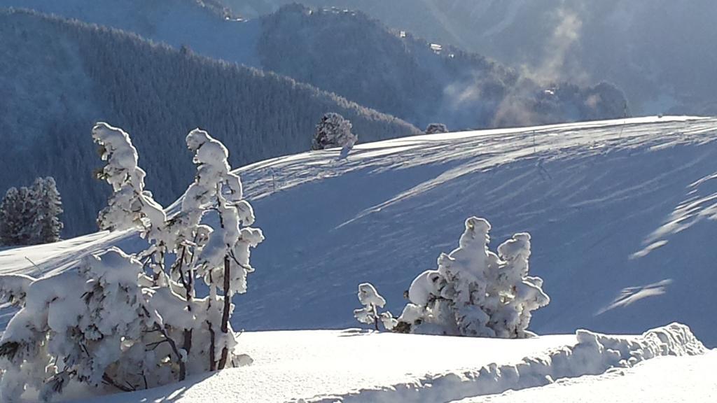 Landhaus Tirol Zellberg Zewnętrze zdjęcie