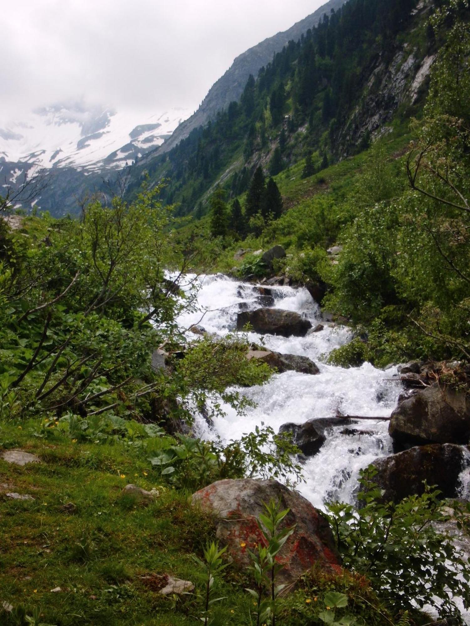 Landhaus Tirol Zellberg Zewnętrze zdjęcie