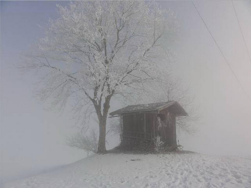 Landhaus Tirol Zellberg Zewnętrze zdjęcie